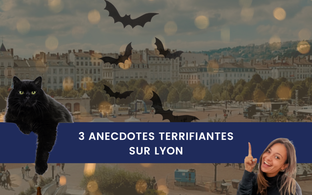 Les petites anecdotes de Camille – Édition Spéciale – 𝔥𝔞𝔩𝔩𝔬𝔴𝔢𝔢𝔫