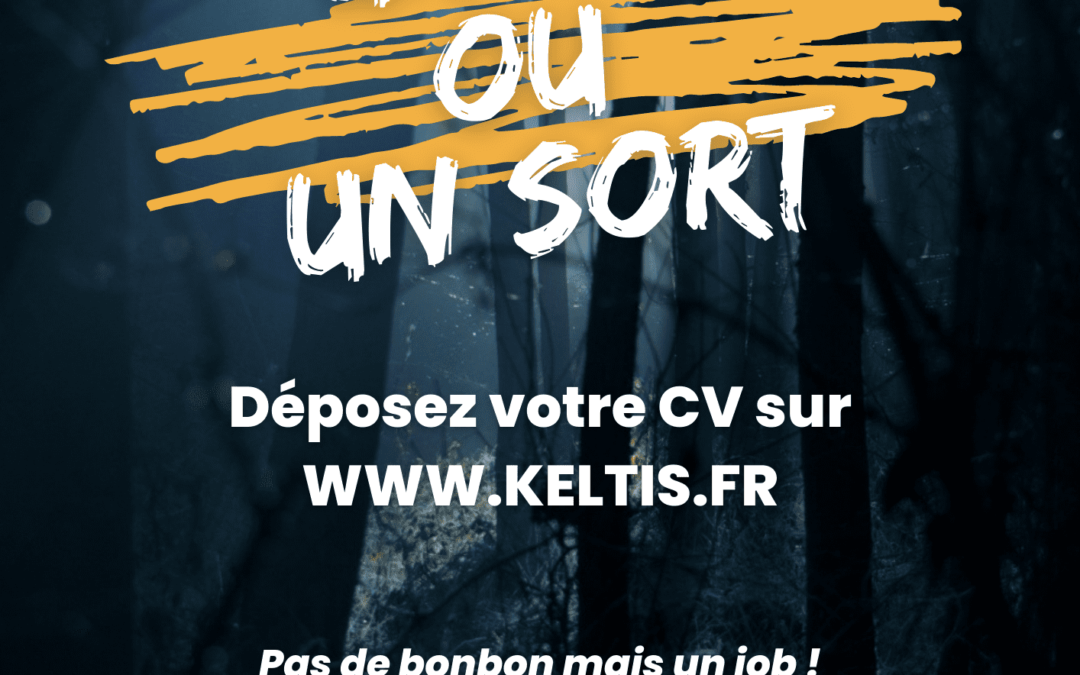UN CV OU UN SORT !