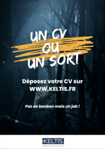 KELTIS CABINET DE RECRUTEMENT LYON